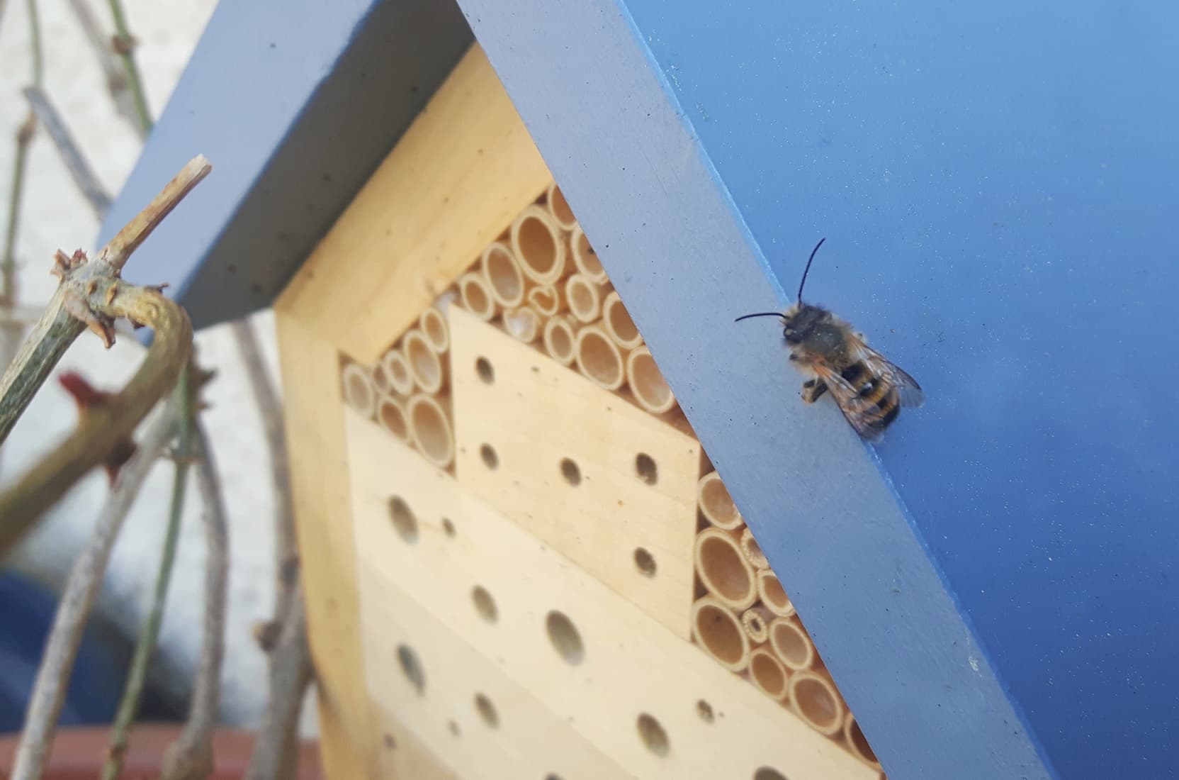 Insektenhotel-von-den-Mutmachermenschen