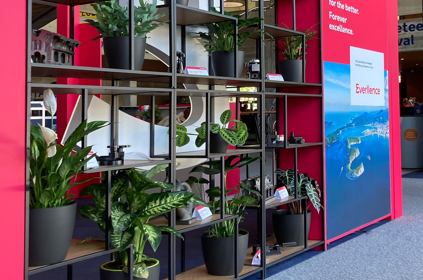 Regalwand mit Echtpflanzen auf dem messestand von Everellence auf dem Rocketeer festival in augsburg