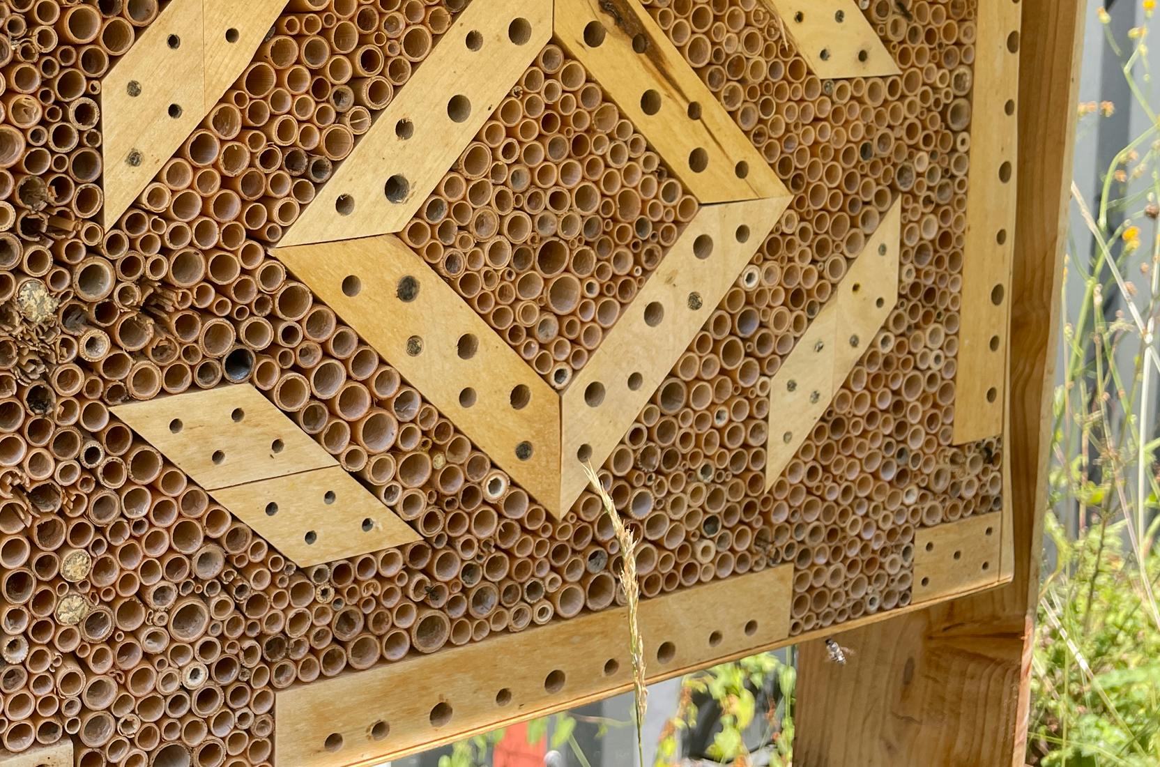 Bienenhotel auf dem Gelände von deka, deka ist augezeichnet als blühender betrieb